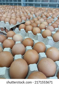 Fresh Eggs Stacked At Wet Market, Quality Checked And Batch Number Printed On Egg. Sorted And Labelled, Ready To Be Sell To Customer