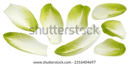 Fresh endive, green chicory salad leaves isolated on white background Foto stock © 