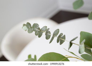 Fresh Eucalyptus Branch In A Centerpiece On A White Table