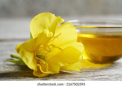 Fresh evening primrose flower and oil - Shutterstock ID 2167502393