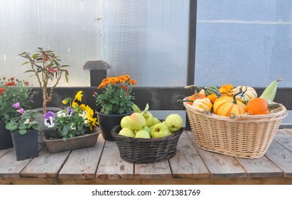 Fresh Farmer's Market Produce Stand With Fall Harvest Produce And Fruit And Winter Flowers