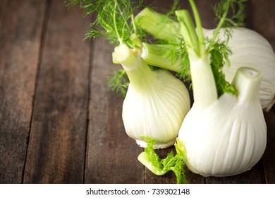 Fresh Fennel Bulb