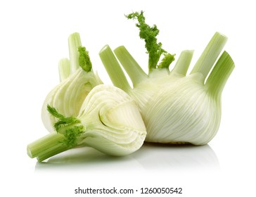 Fresh fennel vegetable and slice isolated on white background