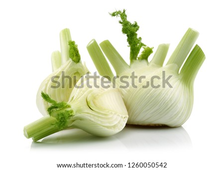 Fresh fennel vegetable and slice isolated on white background
