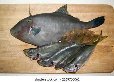 Fresh File Fish (Umazurahagi) And Fivespot Flounder (Tamaganzobirame),  Japanese Horse-mackerel(Maaji), Ready To Be Cooked, On The Wooden Cutting Board.