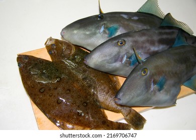 Fresh File fish (Umazurahagi, Leatherfish,  Leatherjacket, Thamnaconus modestus) and Round-nose flounder (Mushigarei, Eopsetta grigorjewi) ready to be cooked, on a Japanese wooden cutting board.