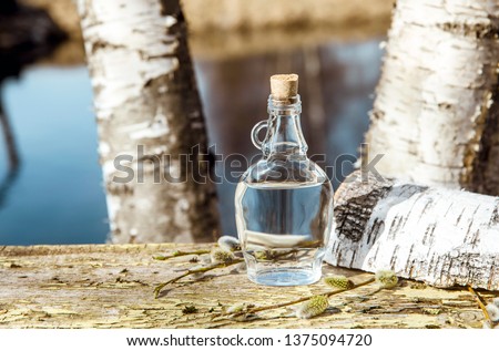 Similar – Image, Stock Photo Full Tree Tree trunk Fat