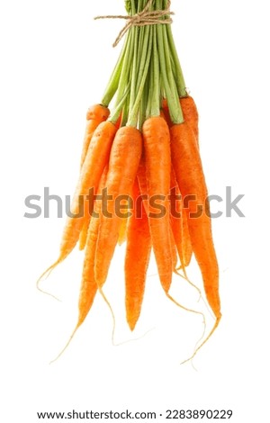 Similar – instead of fruit. Carrot