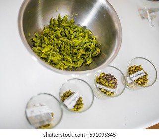 Fresh Fir Tips Into An Inox Bowl And Hops Pellets For A Piney Beer Recipe