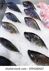 Fresh Fish Arranged In Ice For Sale In Super Market, Food Travel And Cuisine