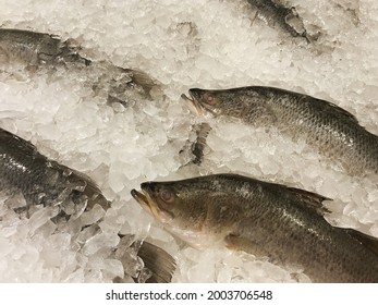 Fresh Fish Arranged In Ice For Sale In Super Market, Food Travel And Cuisine