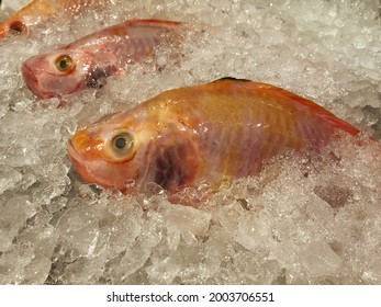 Fresh Fish Arranged In Ice For Sale In Super Market, Food Travel And Cuisine