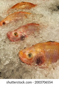 Fresh Fish Arranged In Ice For Sale In Super Market, Food Travel And Cuisine