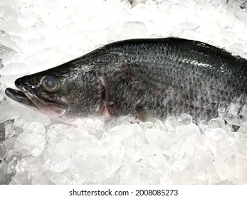 Fresh Fish Arranged In Ice For Sale In Super Market, Food Travel And Cuisine