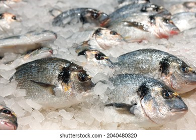 Fresh Fish Assorted On Ice Counter In Supermarket