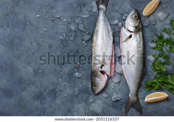 Fresh fish bluefish  with ice, salt and lemon\
on a blue background
