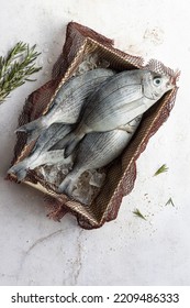 Fresh Fish Box With Net