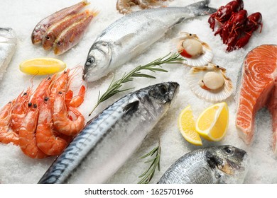 Collage Fresh Fish Seafood Healthy Eating Stock Photo 1897079194 ...