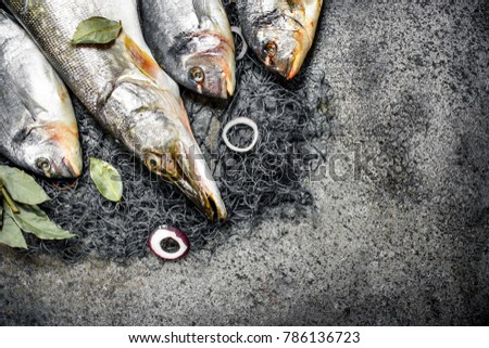 Fresh fish, dorado and pike with a fishing net. On a rustic background.