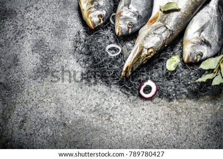 Fresh fish, dorado and pike with a fishing net. On a rustic background.
