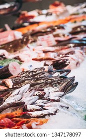 Fresh Fish At A Fishmonger