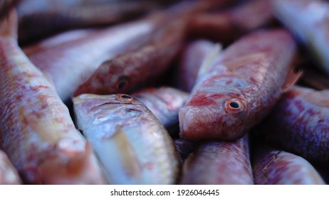 Fresh Fish At The Fishmonger Display