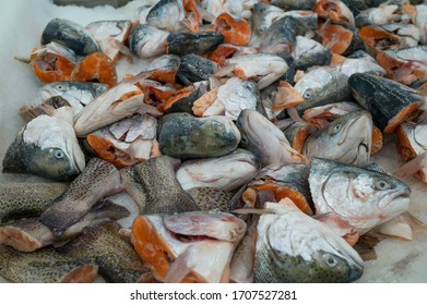 Fresh Fish Heads, Soup Set, Fish Shop Counter