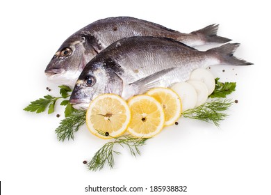 Fresh Fish Isolated On White