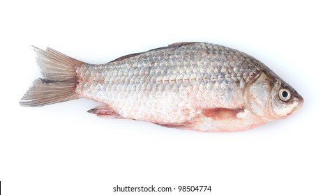 Fresh Fish Isolated On White