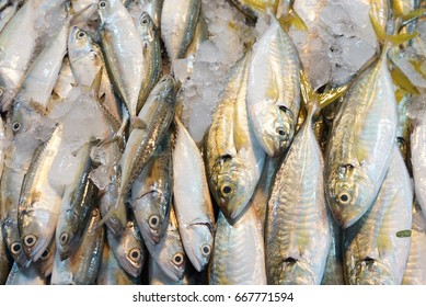 Fresh fish at the market - Shutterstock ID 667771594