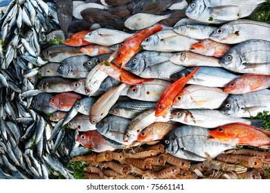 Fresh Fish At The Market