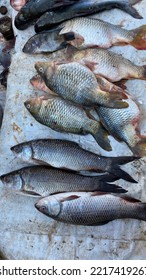 Fresh Fish In The Market, Hyderabad, INDIA