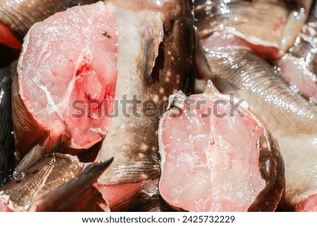 Fresh fish meat. Fish meat is a source of protein that is easily absorbed by the body compared to meat protein from land-based livestock. This is because fish protein has a simpler amino acid chain.