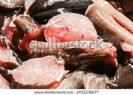 Fresh fish meat. Fish meat is a source of protein that is easily absorbed by the body compared to meat protein from land-based livestock. This is because fish protein has a simpler amino acid chain.