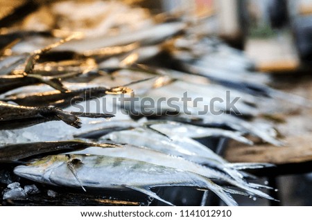 Similar – Image, Stock Photo show teeth Food Fish