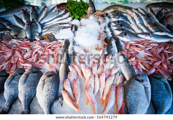 fish store miami