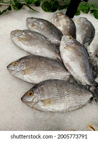 Fresh Fish On Ice Berg In The Super Market Indonesia