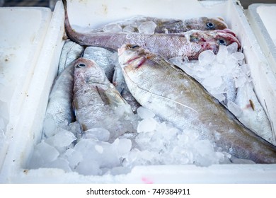 Fresh Fish On Ice In A Box Made Of Styrofoam At Supermarket For Sale.