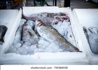 Fresh Fish On Ice In A Box Made Of Styrofoam At Supermarket For Sale.