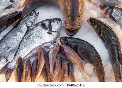 Fresh Fish On Ice On The Counter. Top View. Close-up.