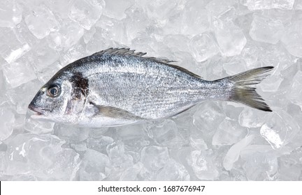 Fresh Fish On Ice At The Fish Market