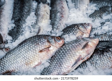 Fresh fish on ice. Sale of fresh frozen fish on farmer's bazaar. Open showcases of seafood market. Fish department store - Shutterstock ID 2171978259