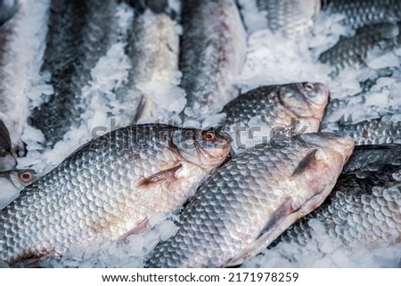 Fresh fish on ice. Sale of fresh frozen fish on farmer's bazaar. Open showcases of seafood market. Fish department store