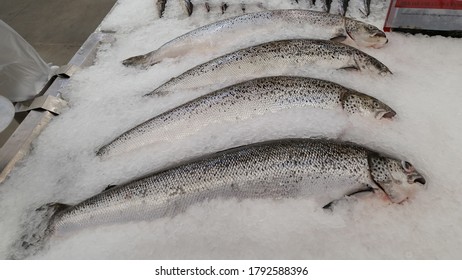 Fresh Fish On Ice In A Super Market