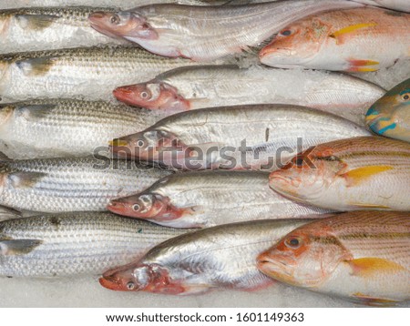 Fresh fish on ice at in the supermarket