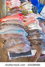 Fresh Fish On The Maputo Fish Market