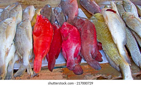 Fresh Fish On The Maputo Fish Market