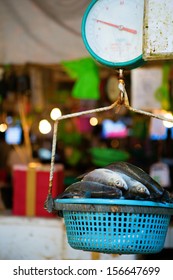 Fresh Fish On Weigh Scales On A Market