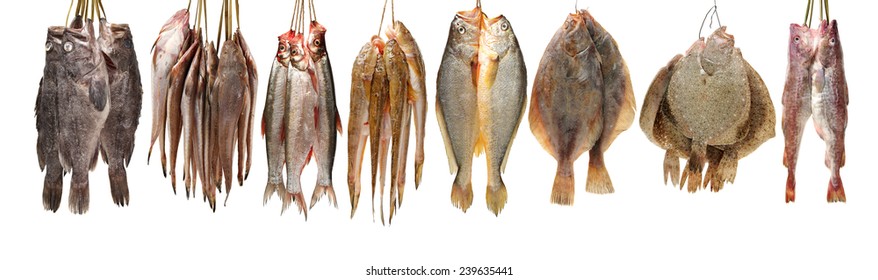 Fresh fish on white background 