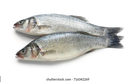 Fresh Fish On White Background